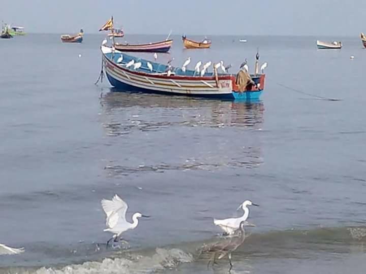 Sea Breeze Beach Home Alappuzha Dış mekan fotoğraf